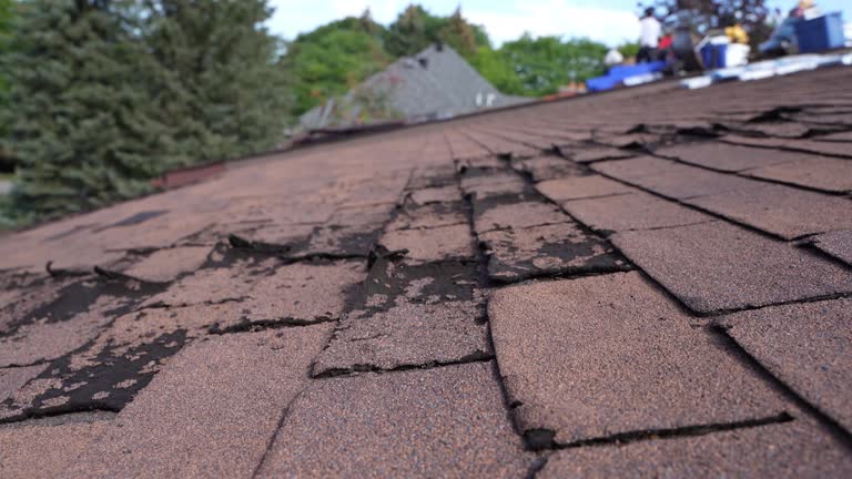 Best Roof Maintenance and Cleaning  in Glen Ellyn, IL
