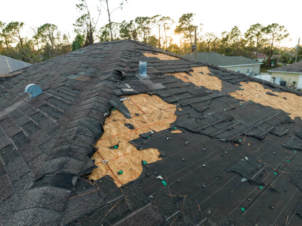 Best Rubber Roofing (EPDM, TPO)  in Glen Ellyn, IL