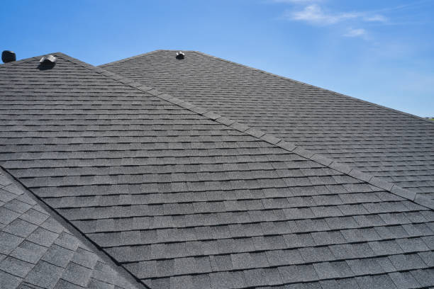 Best Rubber Roofing (EPDM, TPO)  in Glen Ellyn, IL